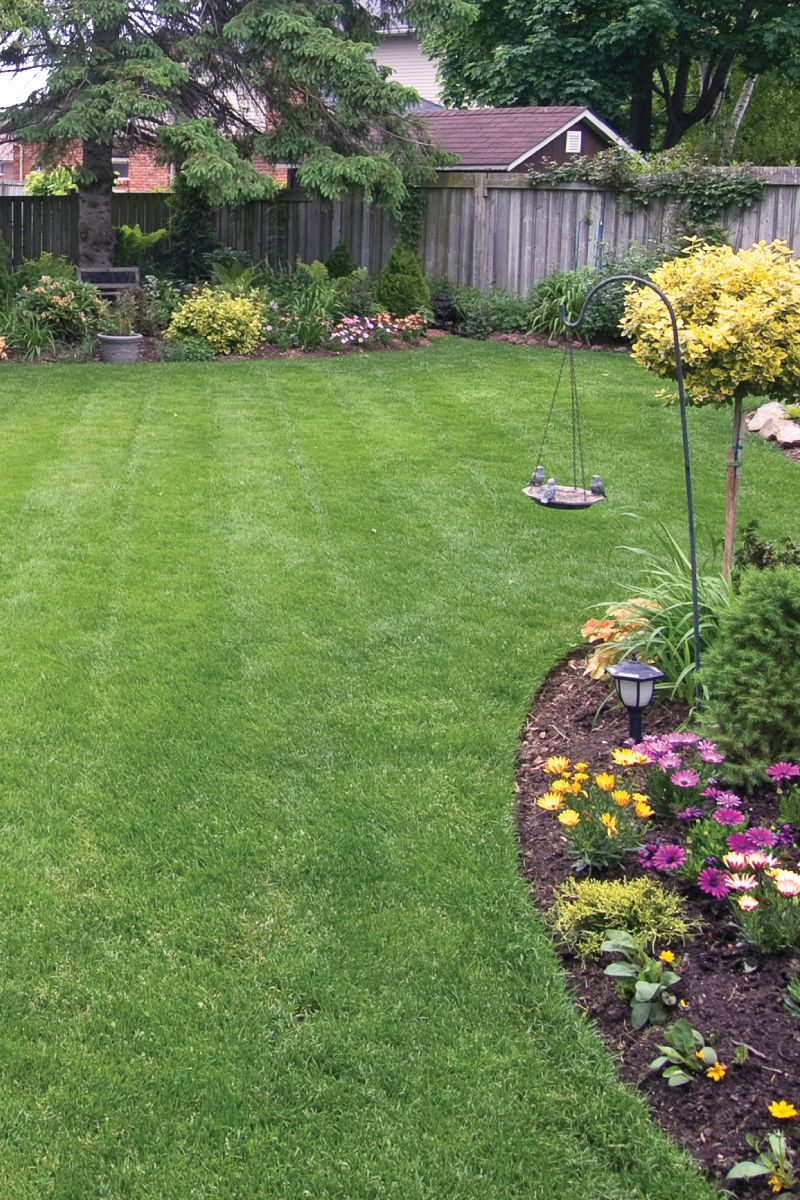fresh cut backyard grass