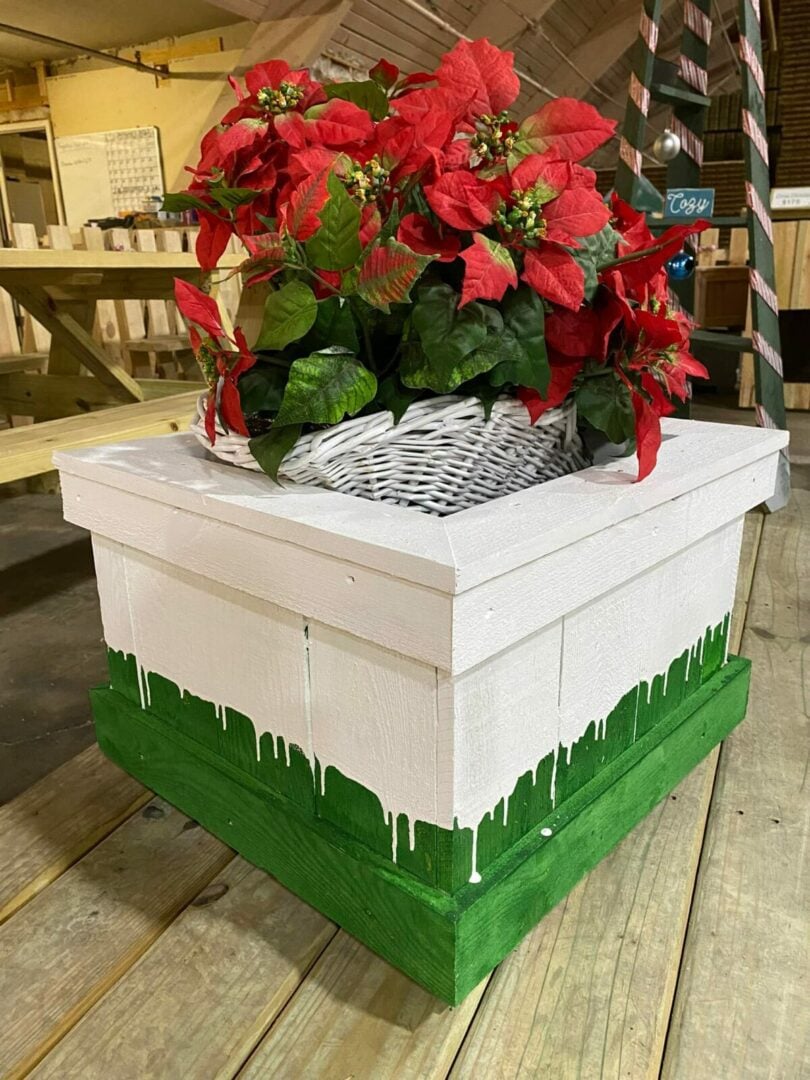 green and white planter