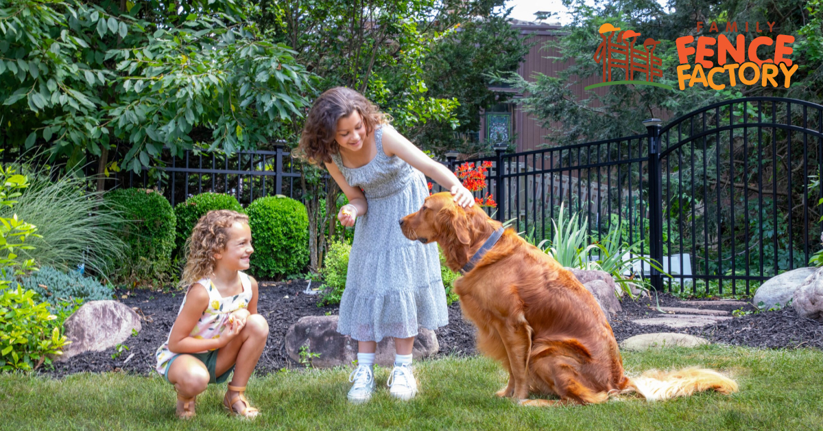 DIY Fencing Kits Build Your Own Fence with Ease