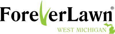 Logo West Michigan Black