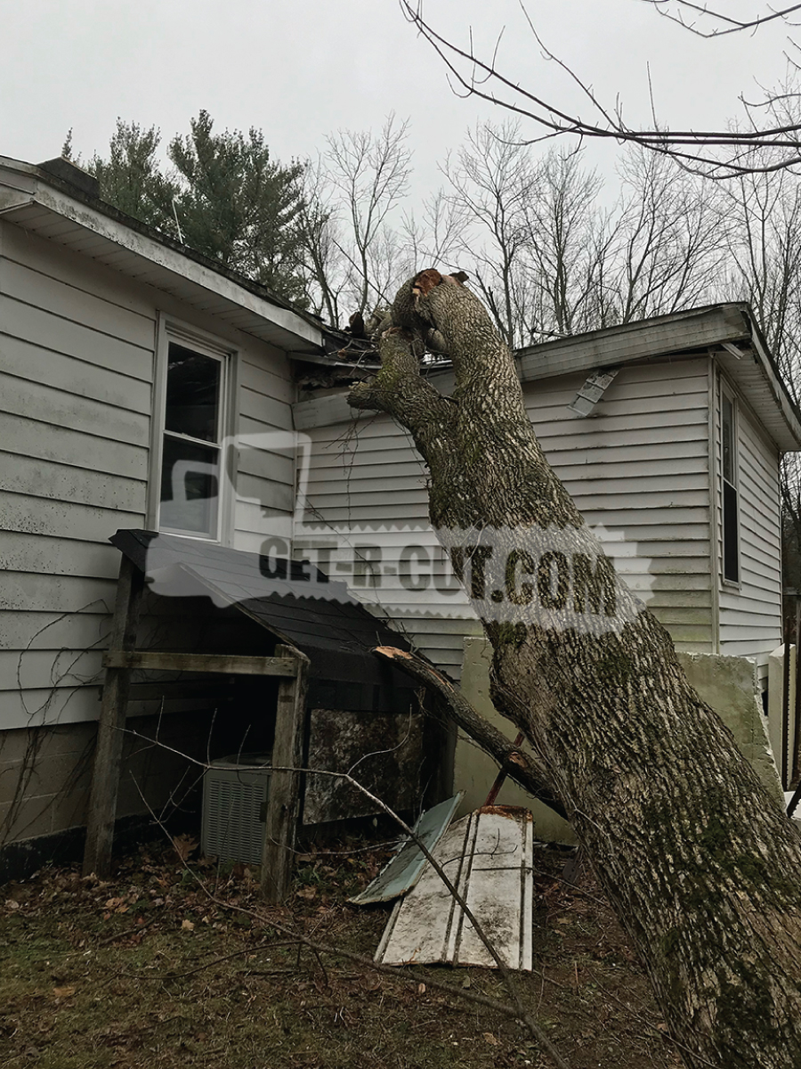 fallen tree on house 4