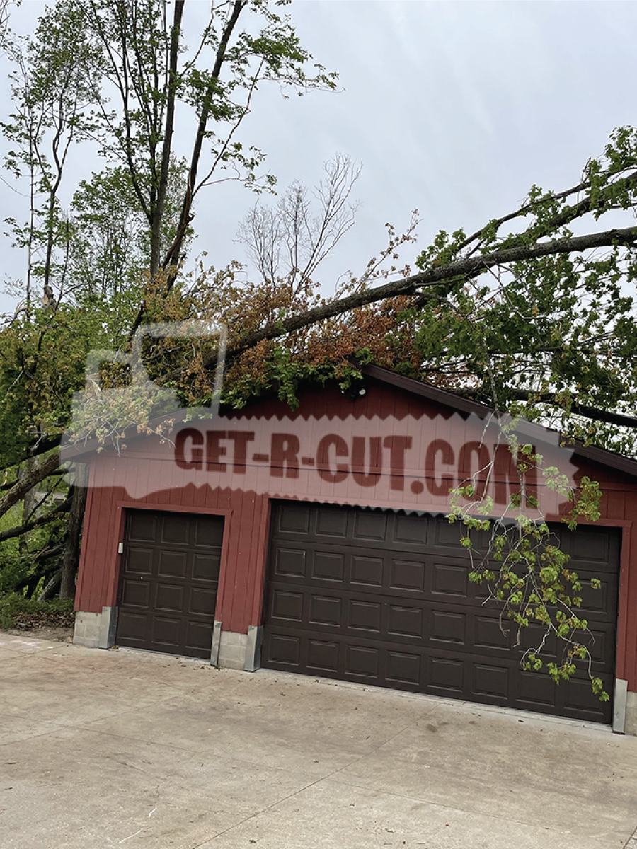 group of trees on red garage 5