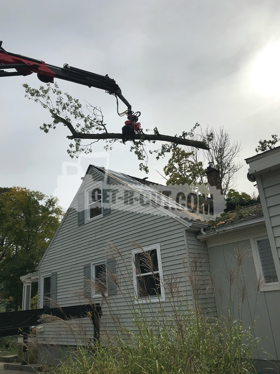 removing a tree off a roof 1