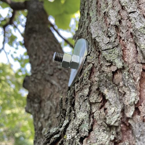 metal brace inside tree