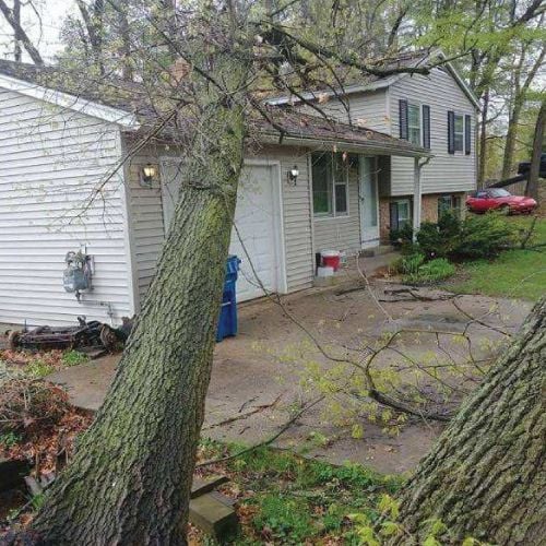 tree fallen on house homepage cover img