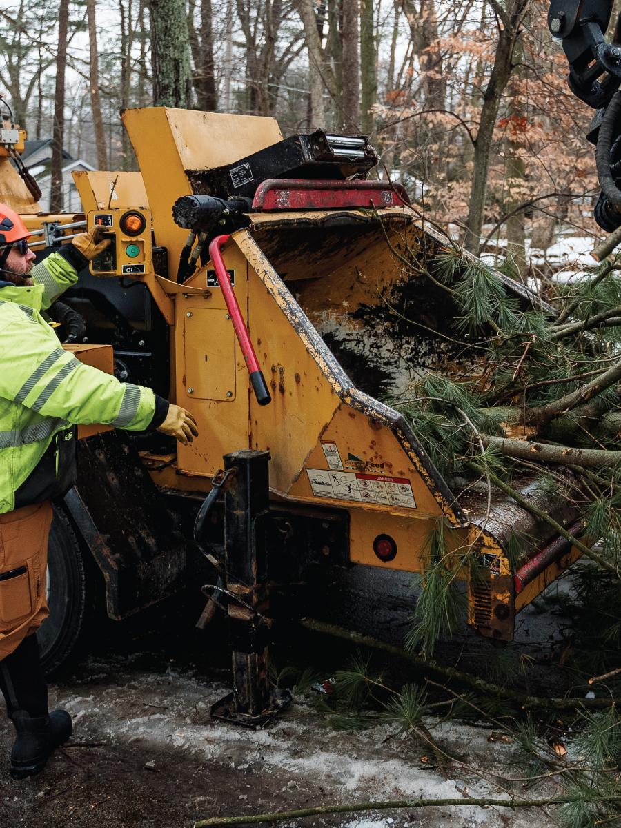 worker feeding tree branches into wood chipper
