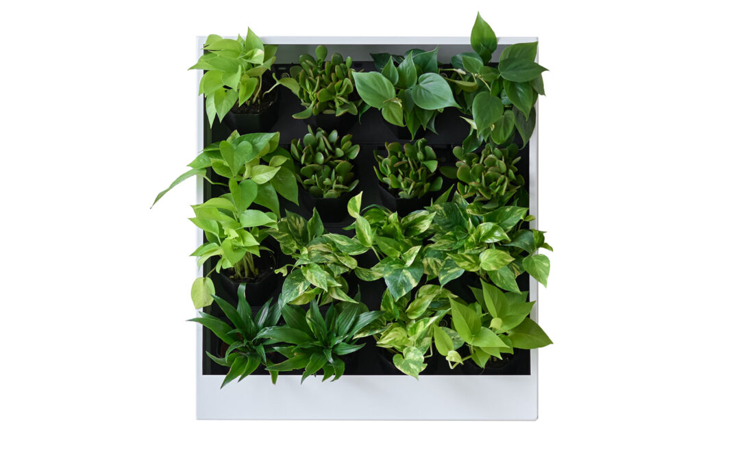 Living Wall Planter