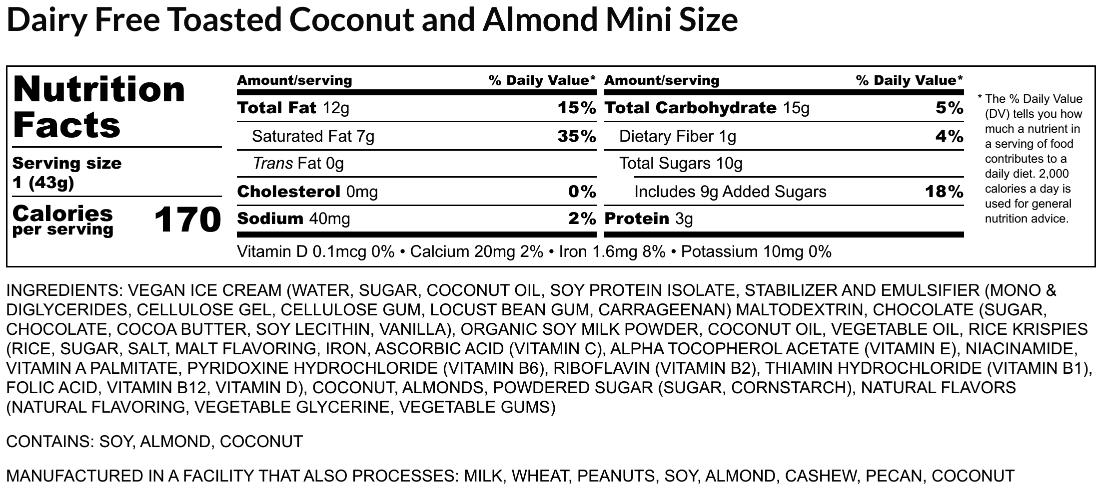 Dairy Free Toasted Coconut and Almond Mini Size
