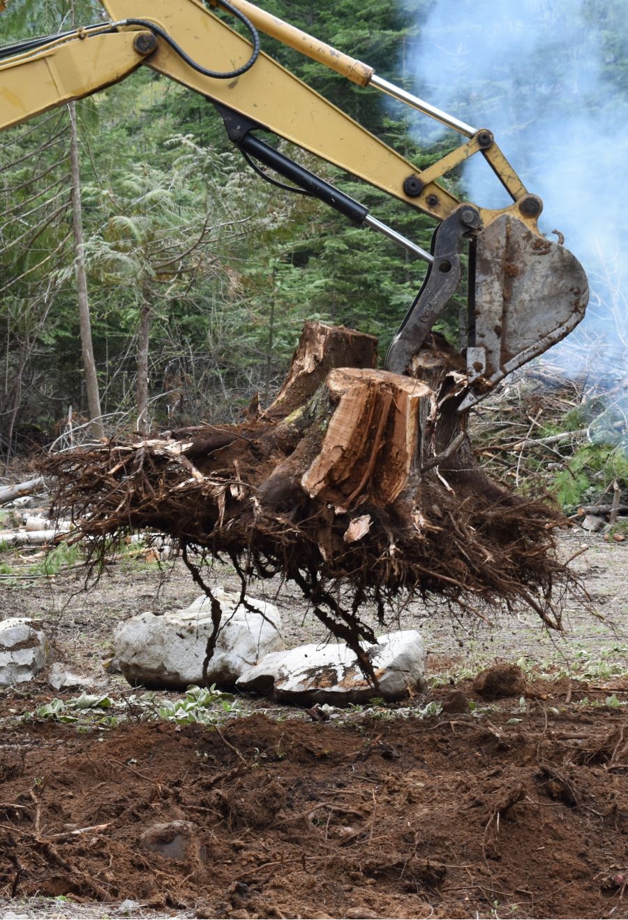 crane picking up dead tree stump