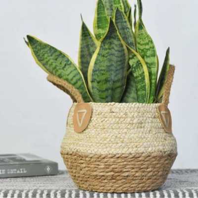 Woven Basket with Rope Handles