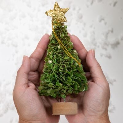 Boxwood Tree Ornament