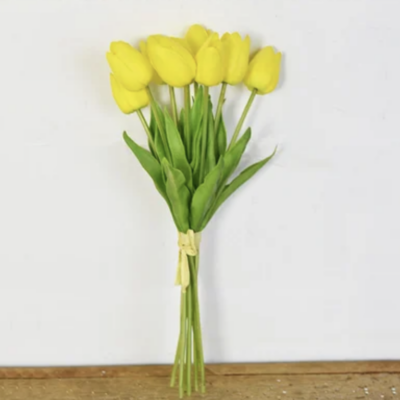 Yellow Tulip Bundle