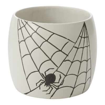 Spiderweb Pot