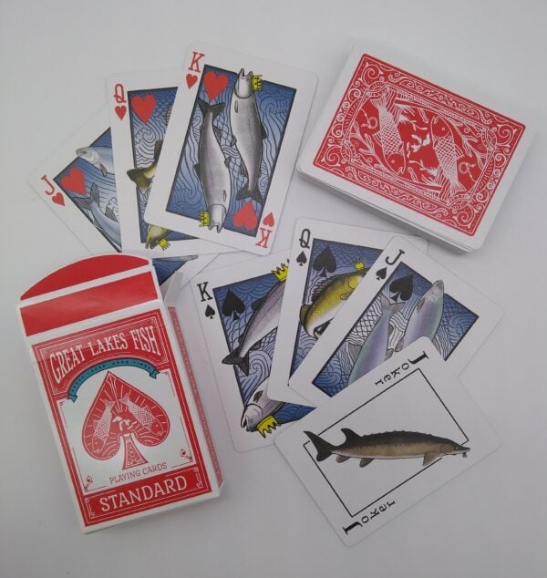 Great Coast Fish Cards JT 2 scaled