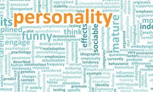 Personality Styles Workshop