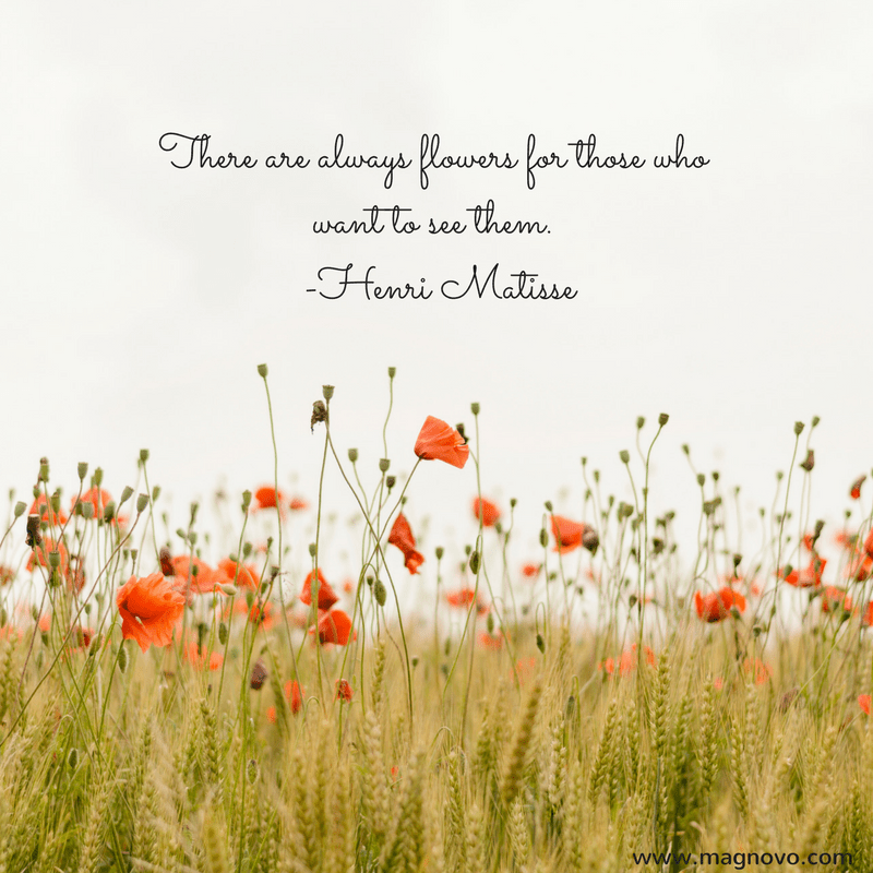 There are always flowers for those who want to see them. -Henri Matisse