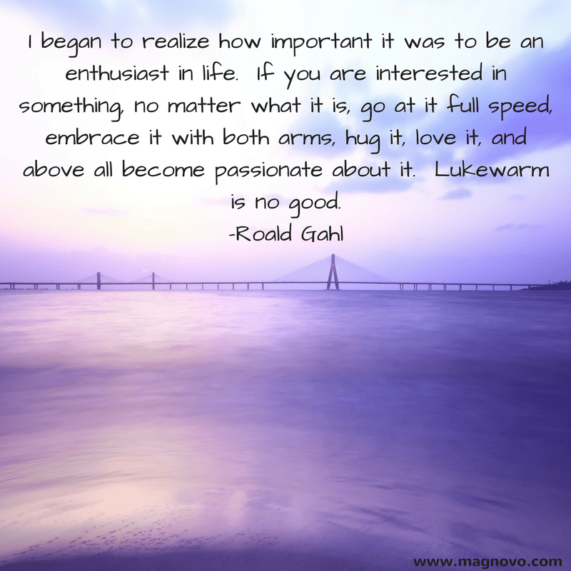 I began to realize how important it was to be an enthusiast in life.  If you are interested in something, no matter what it is, go at it full speed, embrace it with both arms, hug it, love it, and above all become passionate about it.  Lukewarm is no good. - Roald Gahl