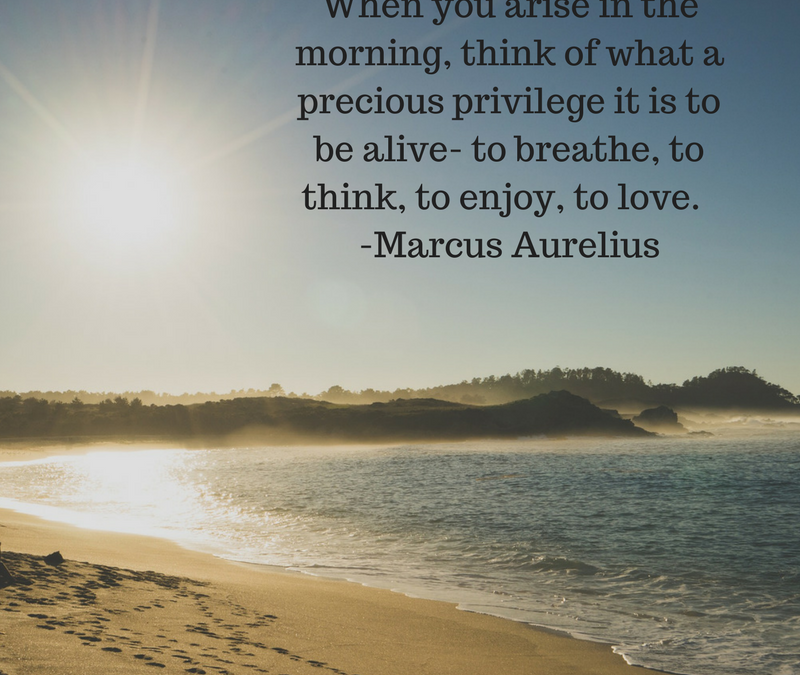 When you arise in the morning, think of what a precious privilege it is to be alive-to breathe, to think, to enjoy, to love. - Marcus Aurelius