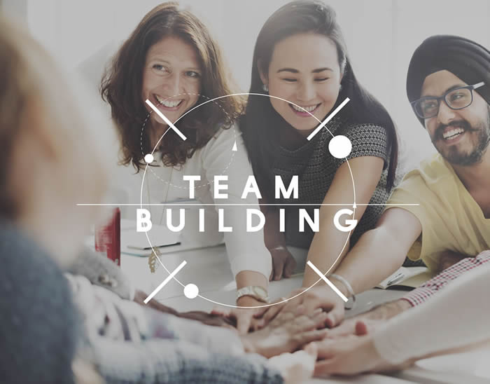 the importance of team building