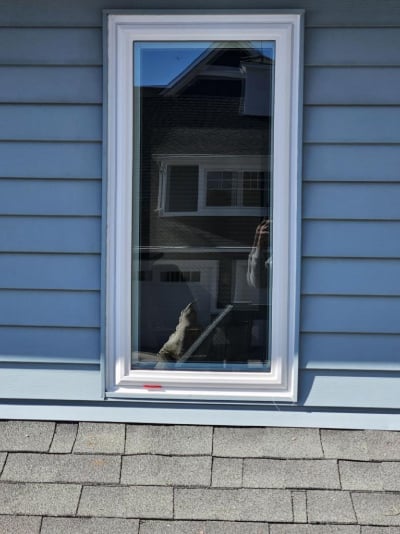 exterior shot of new white trimmed window on blue house