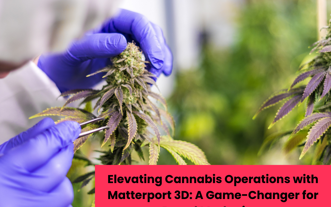Elevating Cannabis Operations with Matterport 3D: A Game-Changer for Brand Marketing, Building Documentation, and Facility Operations