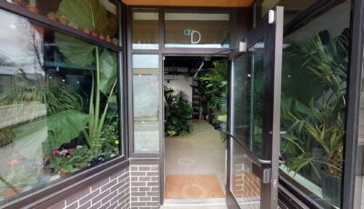 The Plant Parlor | Virtual Tour