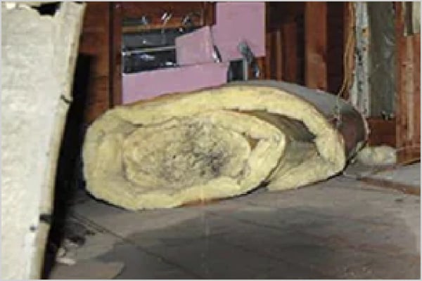 attic leaks dirty and wet insulation