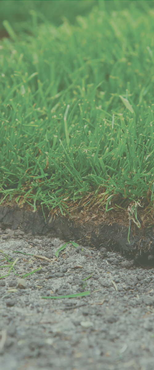 Superior Lawn Installation Services West Michigan Grounds Services